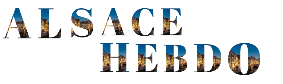 Google search engine